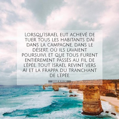 Josué 8:24 LSG Image du verset biblique