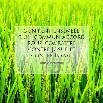 Josué 9:2 LSG Image du verset biblique