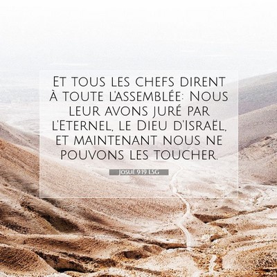 Josué 9:19 LSG Image du verset biblique