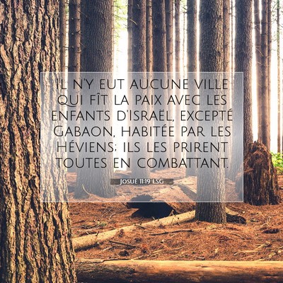 Josué 11:19 LSG Image du verset biblique