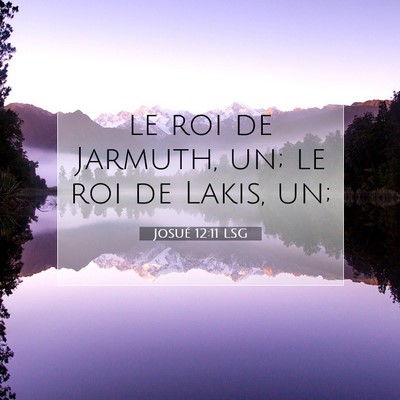 Josué 12:11 LSG Image du verset biblique