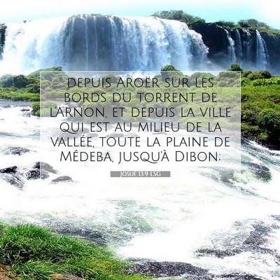 Josué 13:9 LSG Image du verset biblique