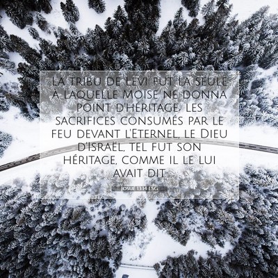 Josué 13:14 LSG Image du verset biblique