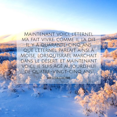 Josué 14:10 LSG Image du verset biblique