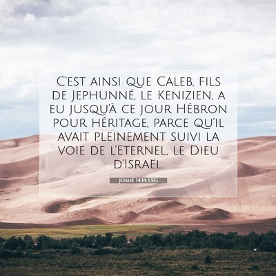 Josué 14:14 LSG Image du verset biblique