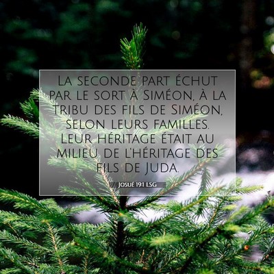 Josué 19:1 LSG Image du verset biblique