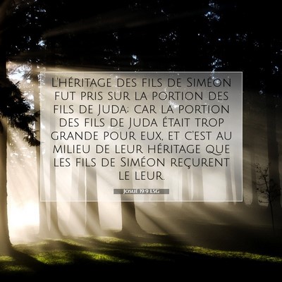 Josué 19:9 LSG Image du verset biblique