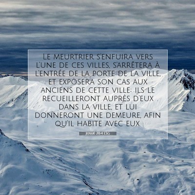 Josué 20:4 LSG Image du verset biblique