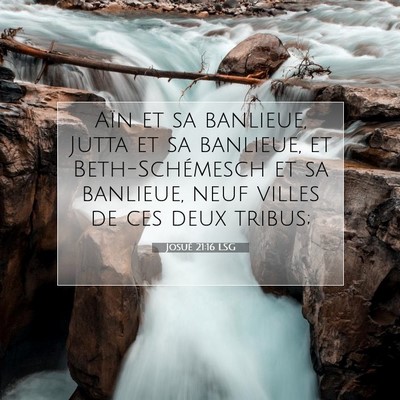 Josué 21:16 LSG Image du verset biblique