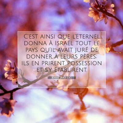 Josué 21:43 LSG Image du verset biblique