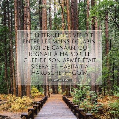 Juges 4:2 LSG Image du verset biblique