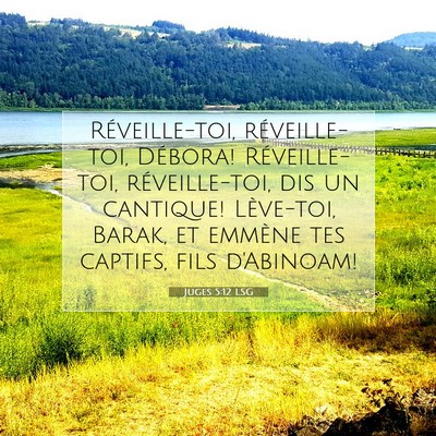 Juges 5:12 LSG Image du verset biblique