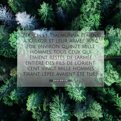 Juges 8:10 LSG Image du verset biblique