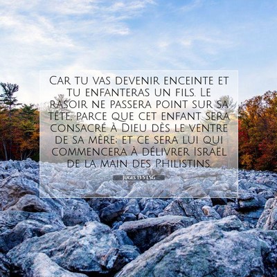 Juges 13:5 LSG Image du verset biblique