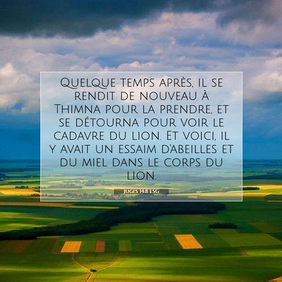 Juges 14:8 LSG Image du verset biblique