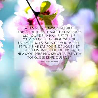 Juges 14:16 Verset biblique expliqué