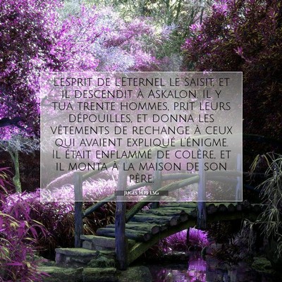 Juges 14:19 LSG Image du verset biblique