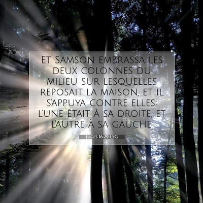 Juges 16:29 LSG Image du verset biblique