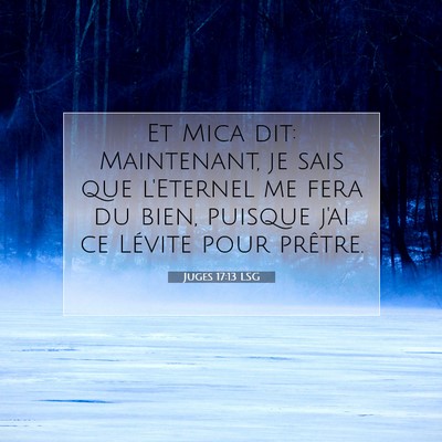 Juges 17:13 LSG Image du verset biblique