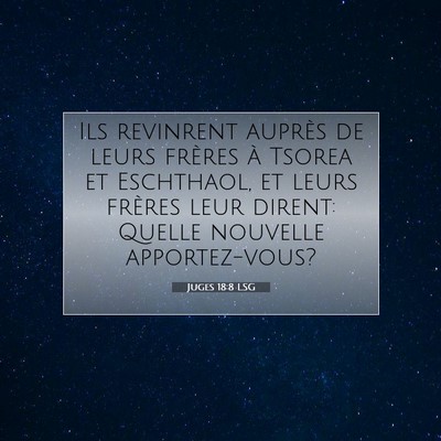 Juges 18:8 LSG Image du verset biblique