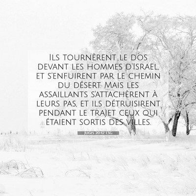 Juges 20:42 Verset biblique expliqué