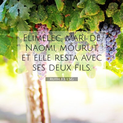 Ruth 1:3 Verset biblique expliqué