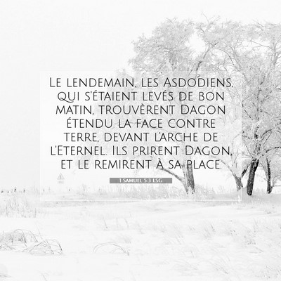 1 Samuel 5:3 LSG Image du verset biblique