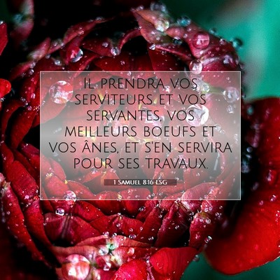 1 Samuel 8:16 LSG Image du verset biblique