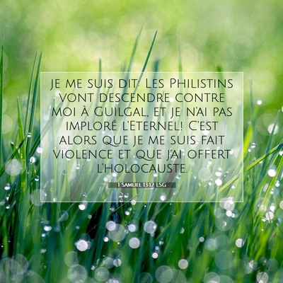 1 Samuel 13:12 LSG Image du verset biblique