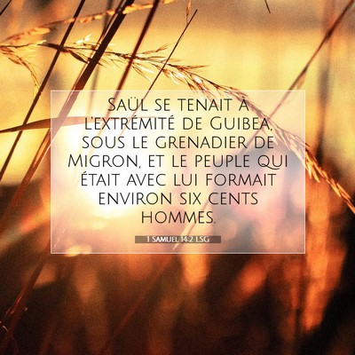 1 Samuel 14:2 LSG Image du verset biblique