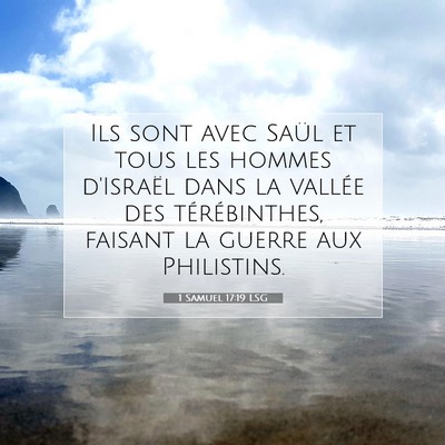 1 Samuel 17:19 LSG Image du verset biblique