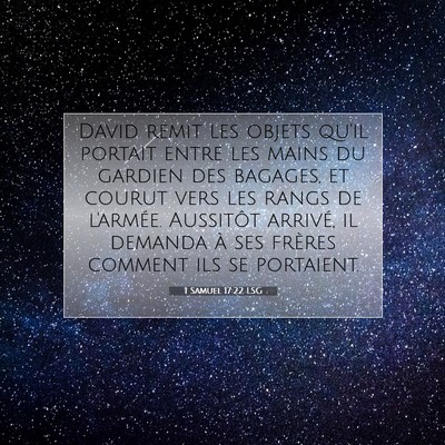 1 Samuel 17:22 LSG Image du verset biblique