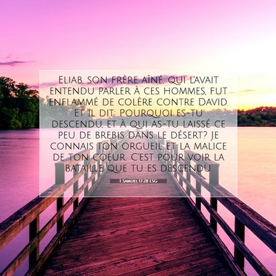 1 Samuel 17:28 LSG Image du verset biblique