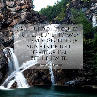 1 Samuel 17:58 LSG Image du verset biblique