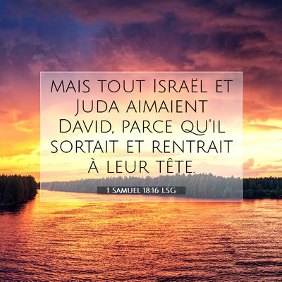 1 Samuel 18:16 LSG Image du verset biblique