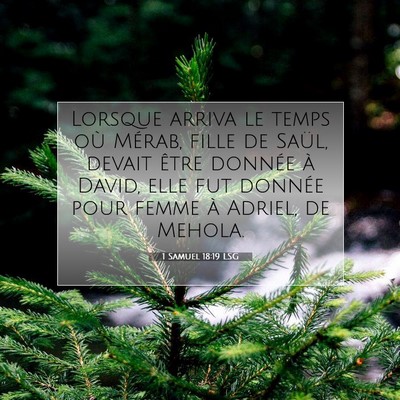 1 Samuel 18:19 LSG Image du verset biblique