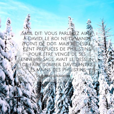 1 Samuel 18:25 LSG Image du verset biblique