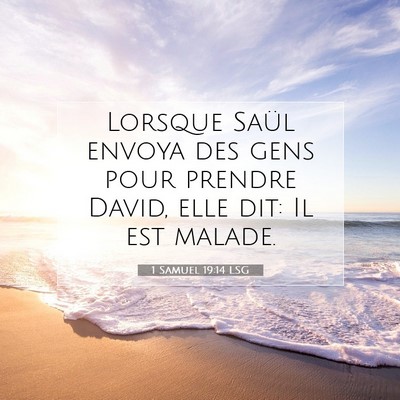 1 Samuel 19:14 LSG Image du verset biblique