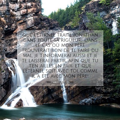 1 Samuel 20:13 LSG Image du verset biblique