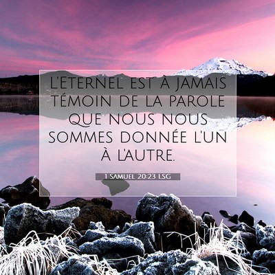 1 Samuel 20:23 LSG Image du verset biblique