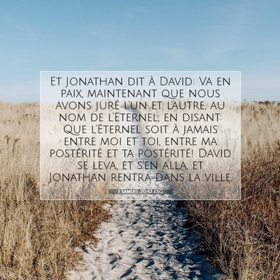 1 Samuel 20:42 LSG Image du verset biblique