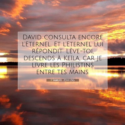 1 Samuel 23:4 LSG Image du verset biblique