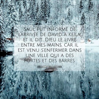 1 Samuel 23:7 LSG Image du verset biblique