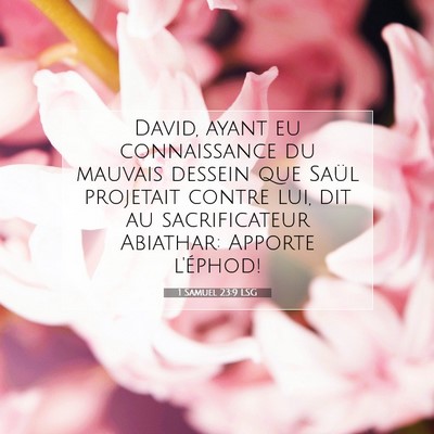 1 Samuel 23:9 LSG Image du verset biblique