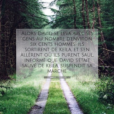 1 Samuel 23:13 LSG Image du verset biblique