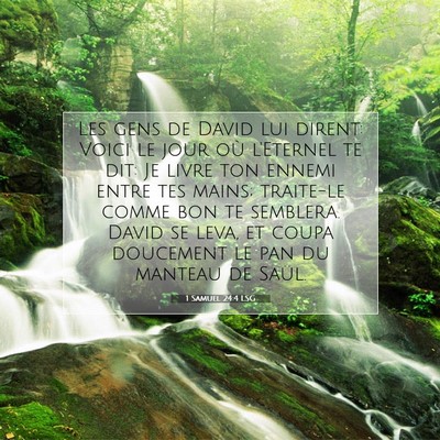 1 Samuel 24:4 LSG Image du verset biblique