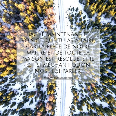 1 Samuel 25:17 LSG Image du verset biblique