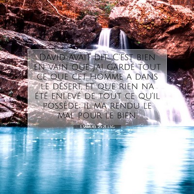 1 Samuel 25:21 LSG Image du verset biblique