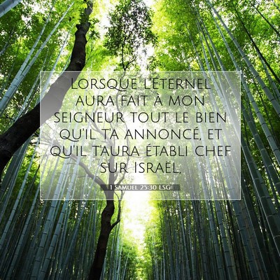 1 Samuel 25:30 LSG Image du verset biblique