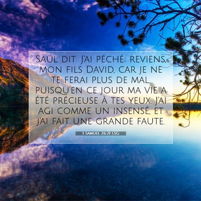 1 Samuel 26:21 LSG Image du verset biblique